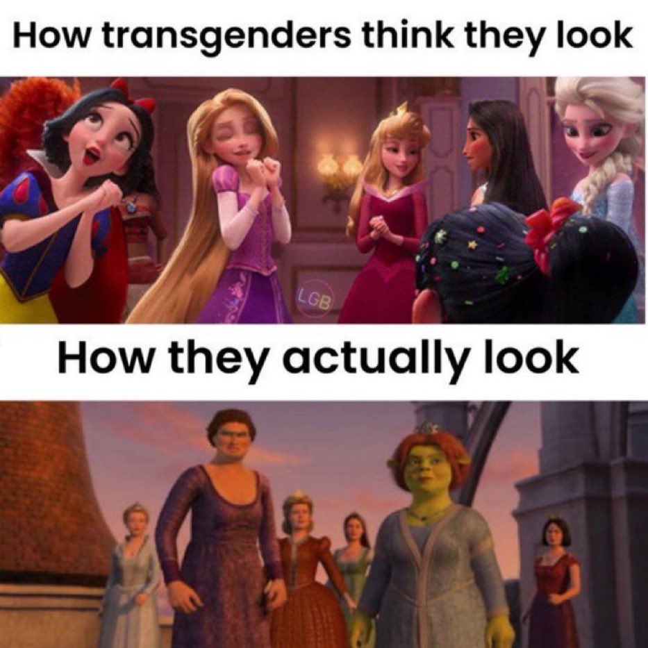 The Punished Epistemologist tweet media