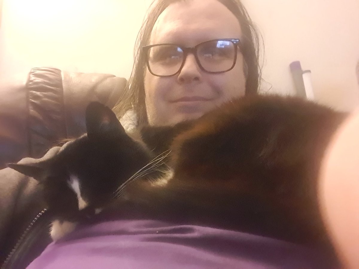 Im_Tony_H's tweet photo. @PostsOfCats https://t.co/8AUnFP2K71