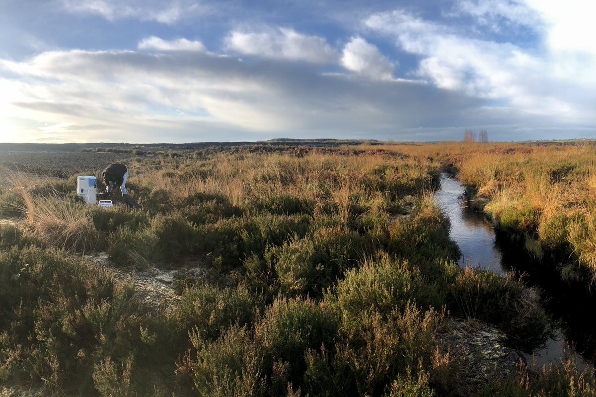 First day of the new year back on the rewetted peatland in Castlegar today. <a href="/EPAResearchNews/">EPA Research News</a>