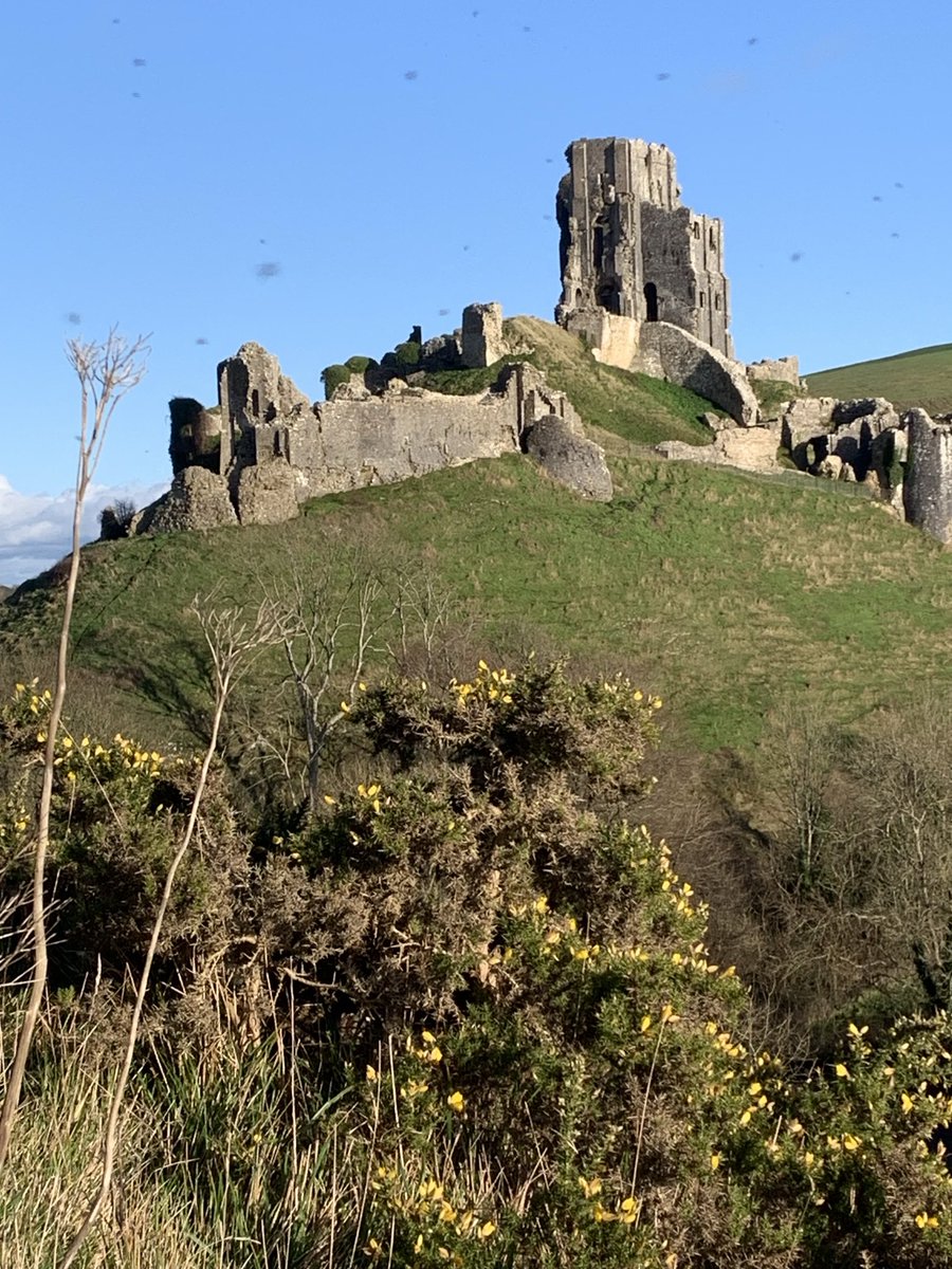 Truluck_Wilts's tweet photo. #Corfe #Castle #Dorset - in winter sunshine this afternoon. Heroically defended by Lady Mary Bankes in the English Civil War, and destroyed by Parliamentary forces subsequently. https://t.co/KoazpD3qaJ