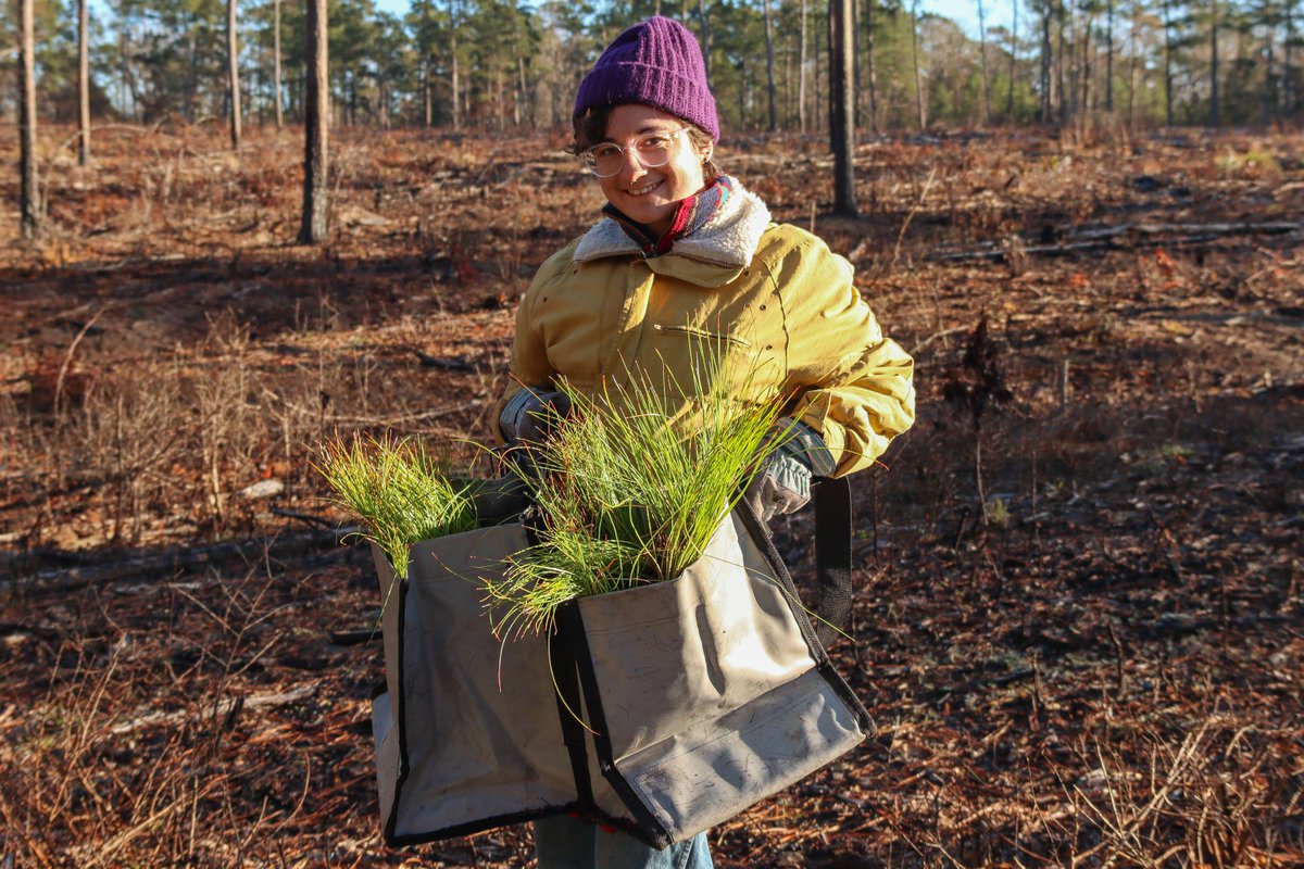 Big Thicket National Preserve tweet media