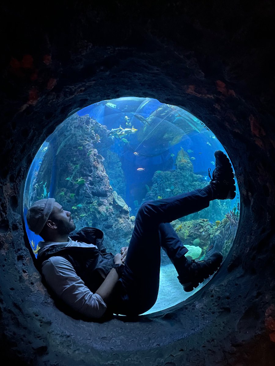 Craigoryham's tweet photo. Good aquarium that’s too good to you https://t.co/BvA3ojXx3e