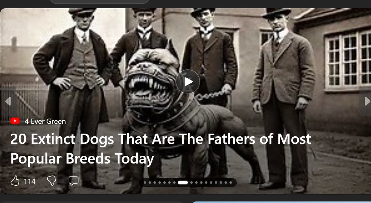 Quinner (@quinncense) on Twitter photo 