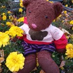 Photo by Joan and Raspberry 🐻🤗💜 (@joans1963)