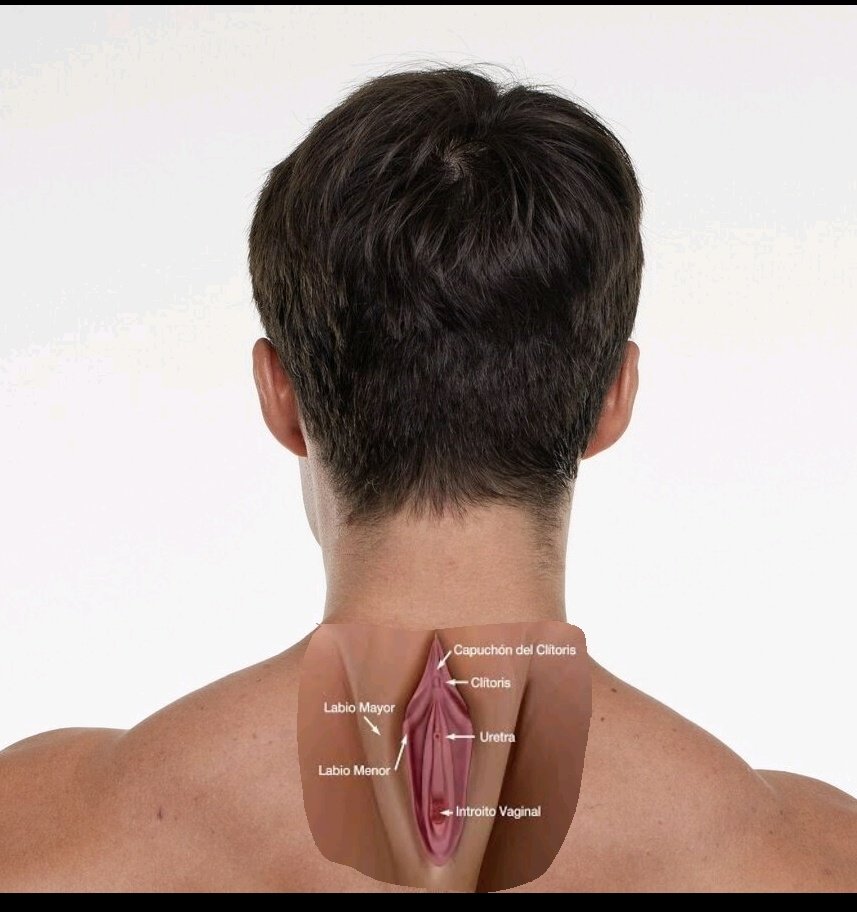 Tienes la vagina en la nuca!!
#LaIslaDeLasTentaciones
#LaIslaDeLasTentaciones1