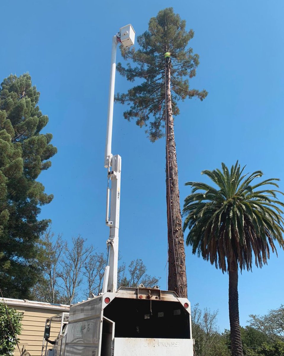 ArborCare_Group's tweet photo. In the clouds today! 
📲 707-755-4138 for a free estimate today! https://t.co/CaKWcsWjUR