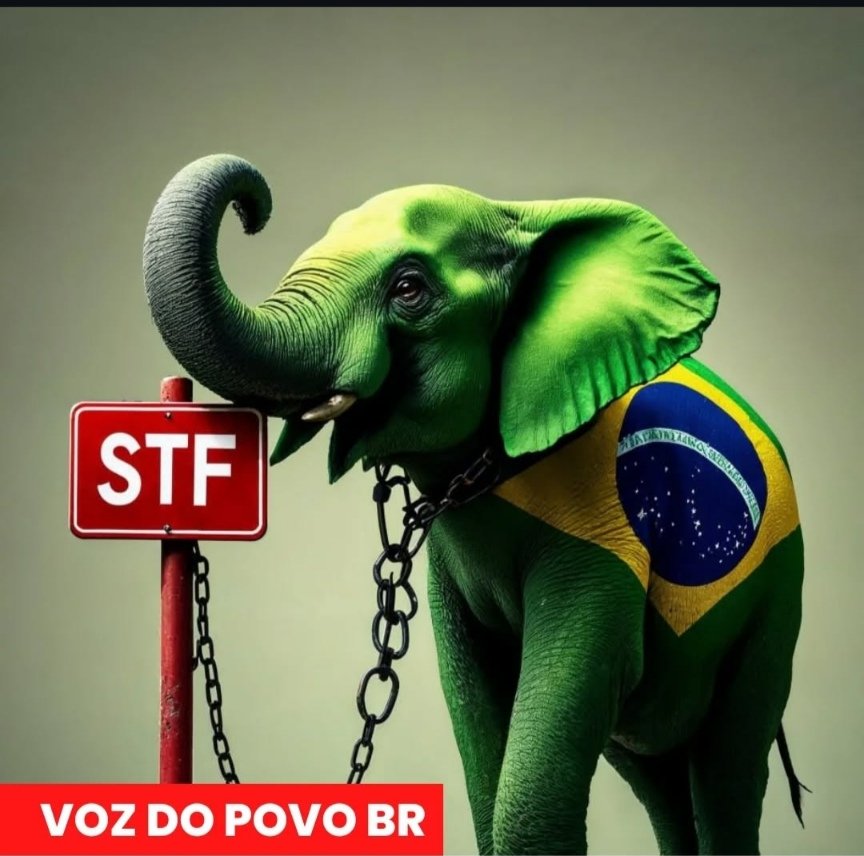 BrunoFrankrocha's tweet photo. @elonmuskTN Help, help, help https://t.co/eudM0IBT2B