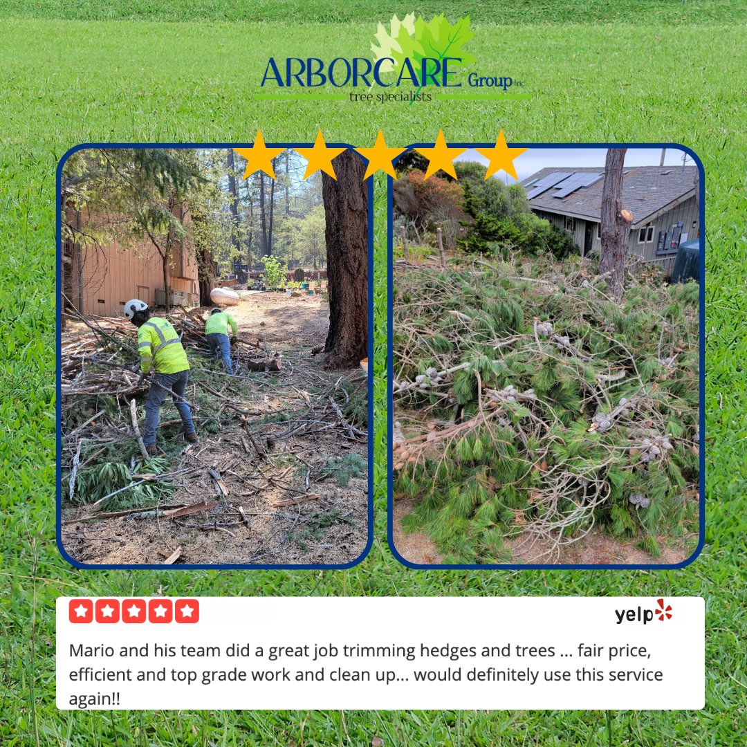 ArborCare_Group's tweet photo. Treemail! Take it from our customers!
📲 707-755-4138 for a free estimate today!
#sonoma #napa #marincounty #SantaRosa https://t.co/ZlOuqHF6X3