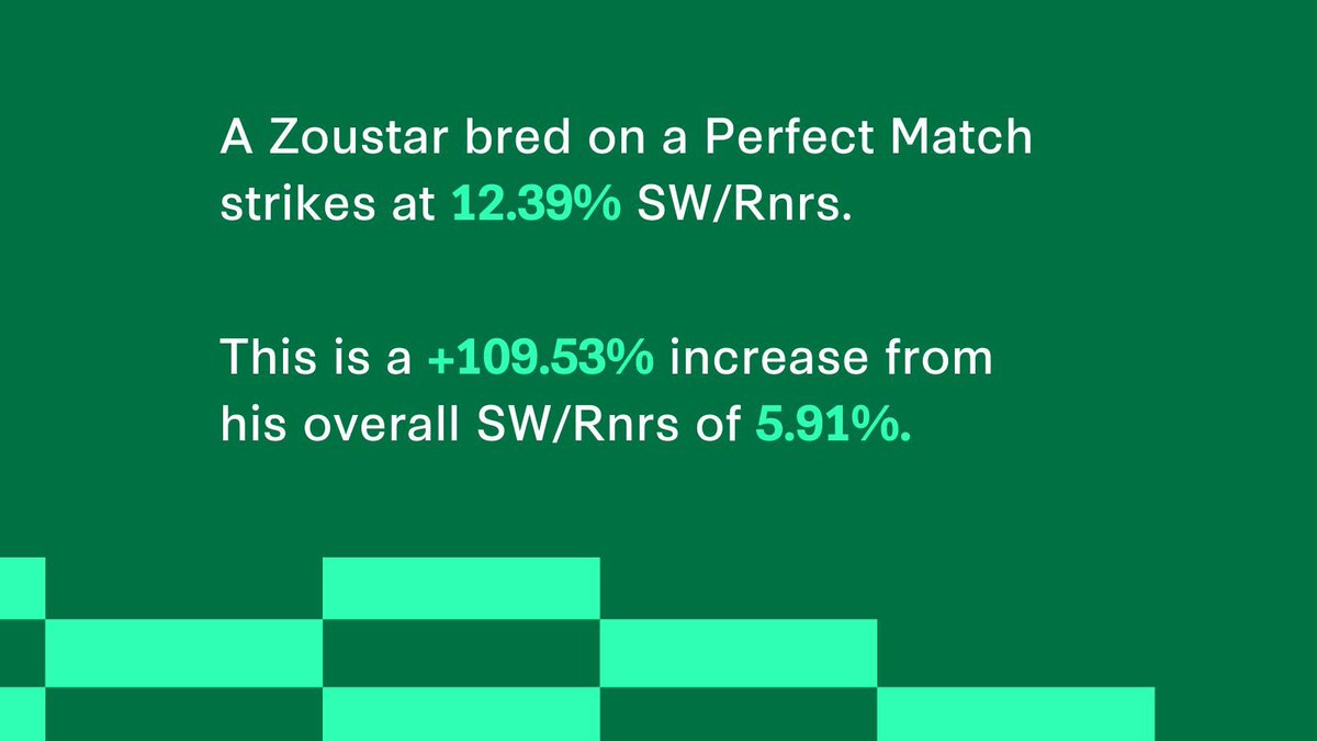 stallionmatch's tweet image. Did you know? A Zoustar bred on a 20/20 Match gives you a 1 in 8 chance of producing a stakes winner 🏆 With a 12.39% SW/Rnrs, that’s almost double his overall average. 

Check out the Perfect Matches by Zoustar @mmsnippets GC below ⬇️

#StallionMatch #MagicMillions