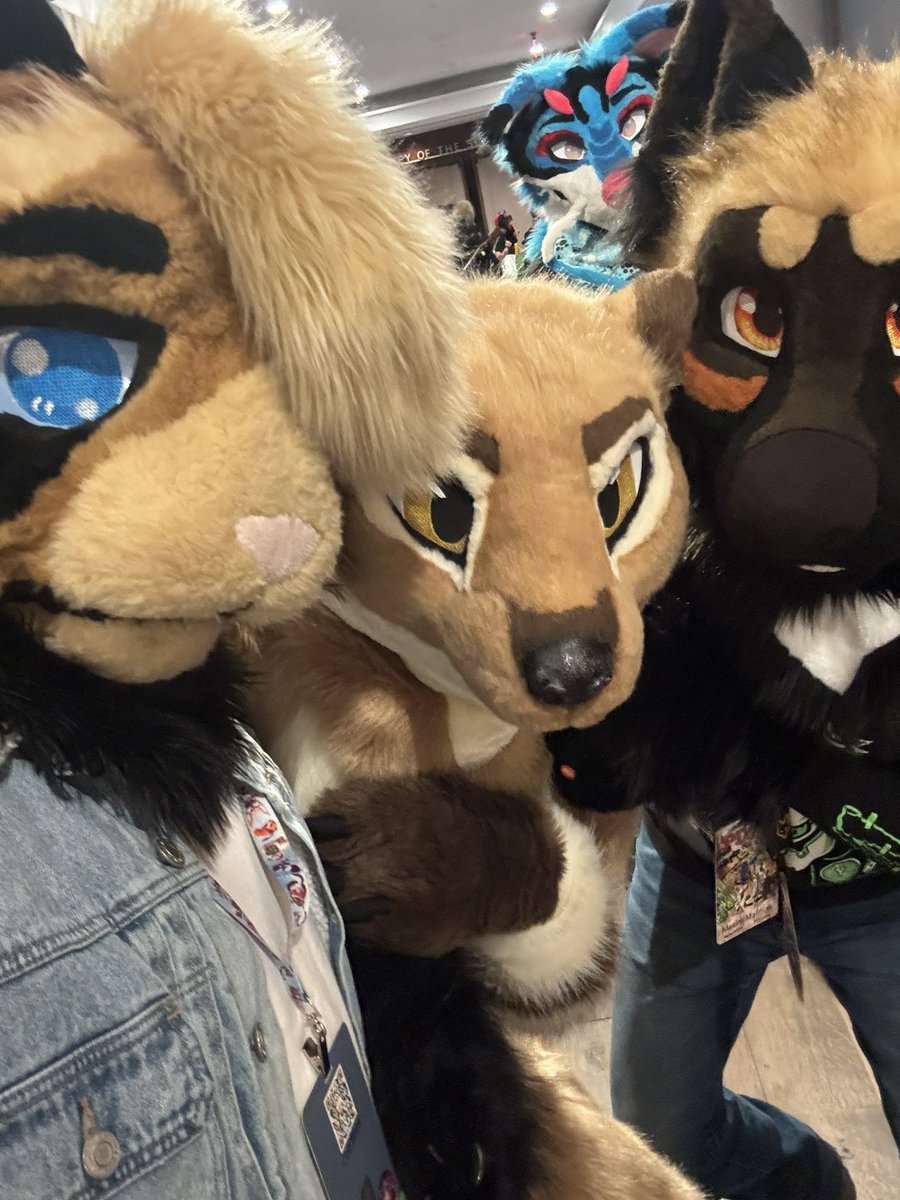 Bomms_Away's tweet image. Had a wonderful time at #PDFC2025! While it was my third time going to this con, it was the first time I got to wear Sadcat for it. Thanks to everyone who made this con amazing!