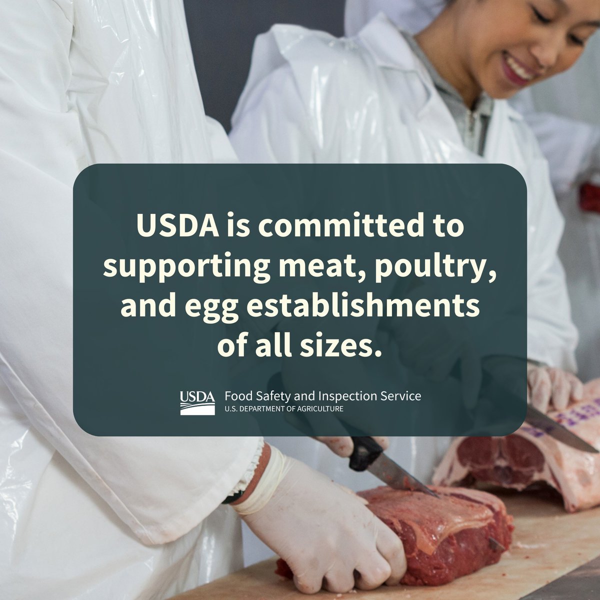 USDAFoodSafety's tweet photo. Multiple programs are in place to provide resources for small and very small meat and poultry establishments. Learn more: https://t.co/EaYyg9CIQ0 #MeatMonth https://t.co/GBZVkneYpY