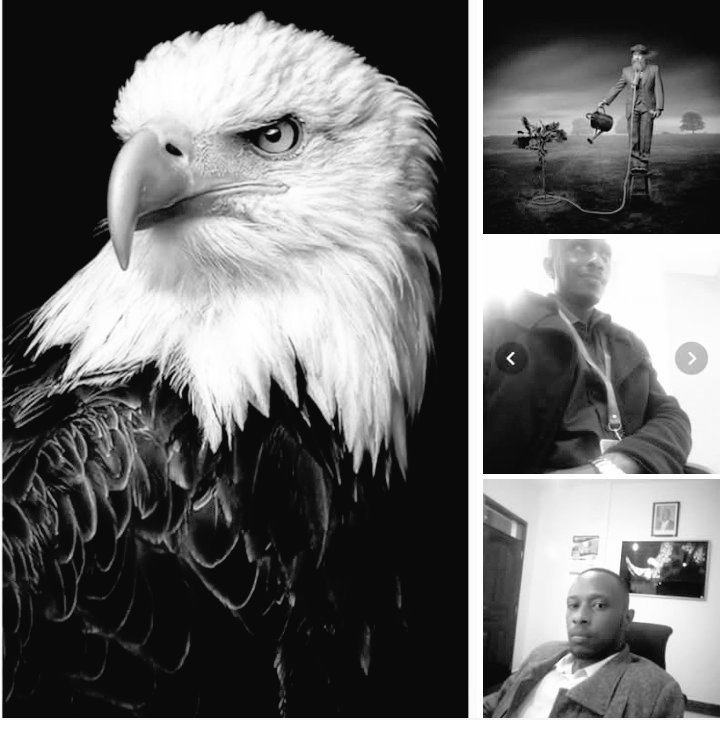 kellyskellz's tweet photo. ".... And, of course without any iota of doubt, life's longevity comes with a complete and total price to be paid and that "price", metastasis around the singular choices we make in life. ✍️
👀 https://t.co/KF5F5uF0wD