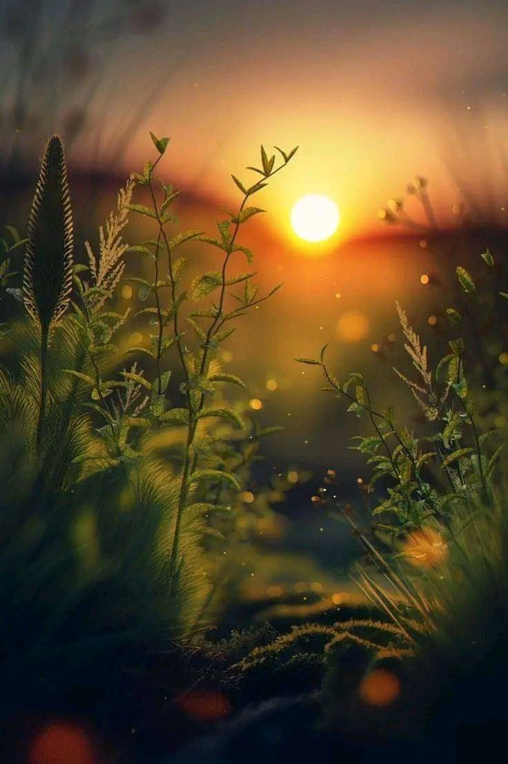 ٌأينما استوجب عليك وضع النقطة ضعها ولا تتردَّد، الفواصل غالبًا متعبة ،.🖤!