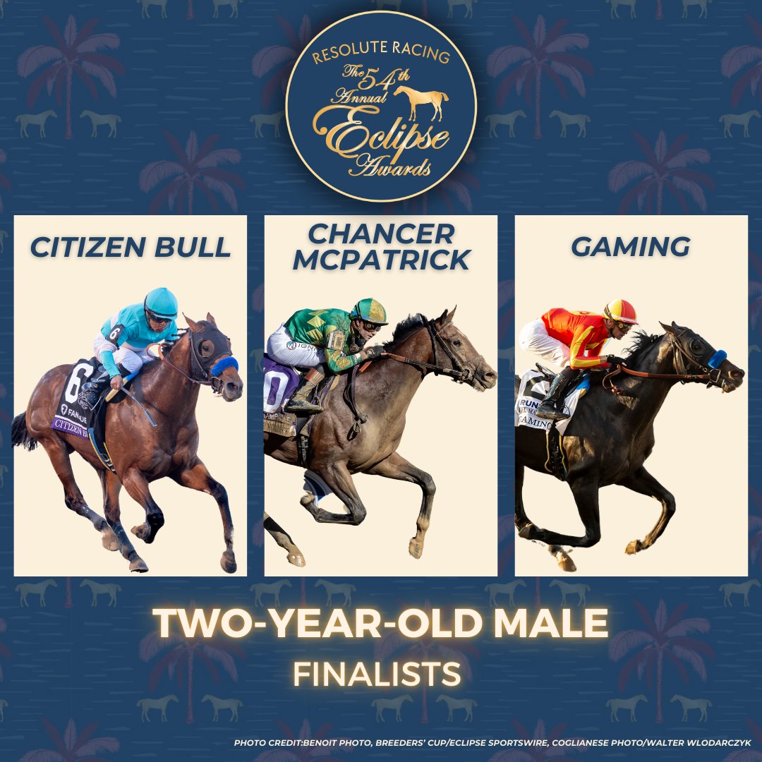 Presenting the Resolute Racing Eclipse Awards Finalists for Two-Year-Old Male: 
Citizen Bull
Chancer McPatrick
Gaming