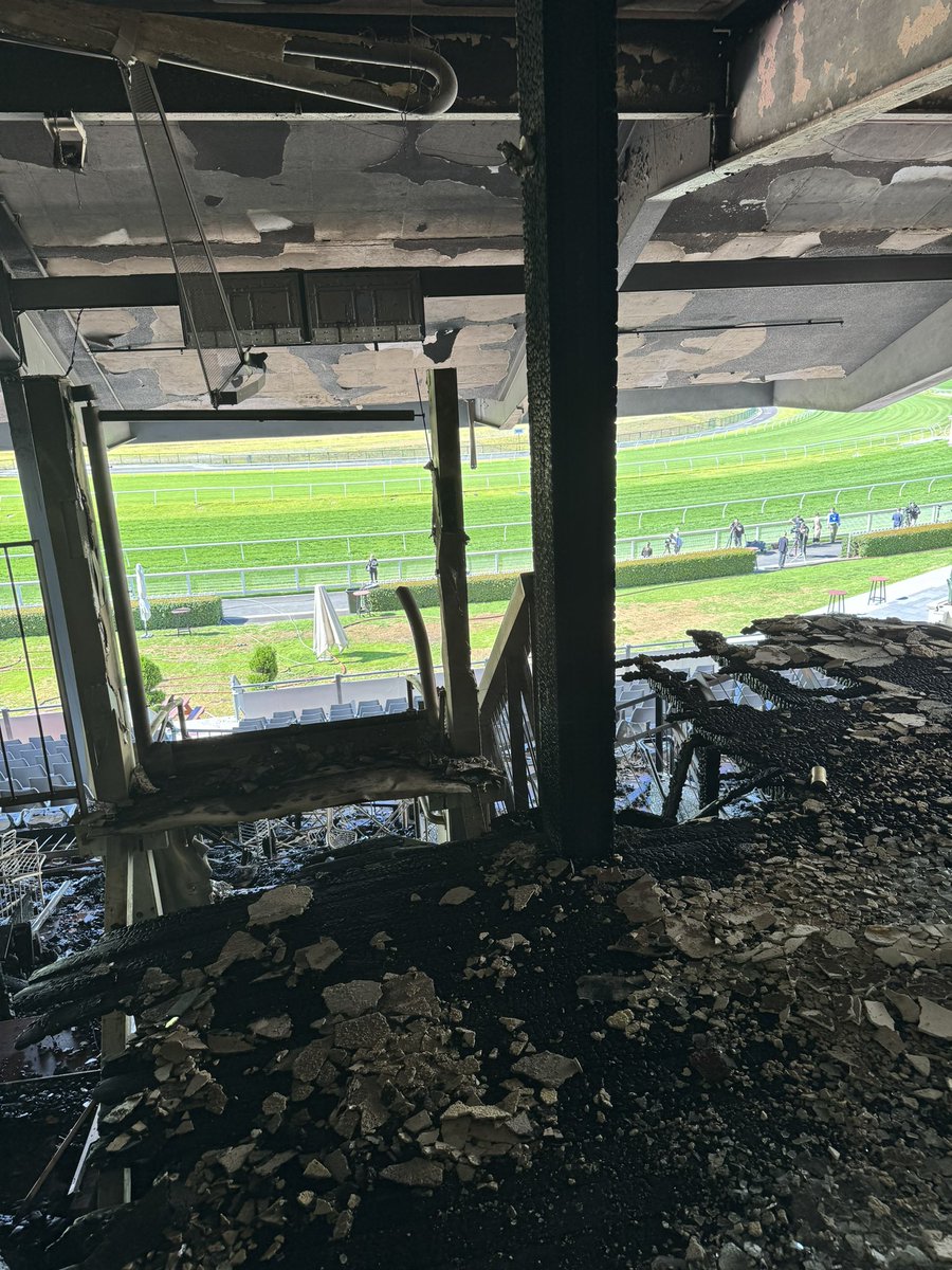 Michael Felgate tweet media