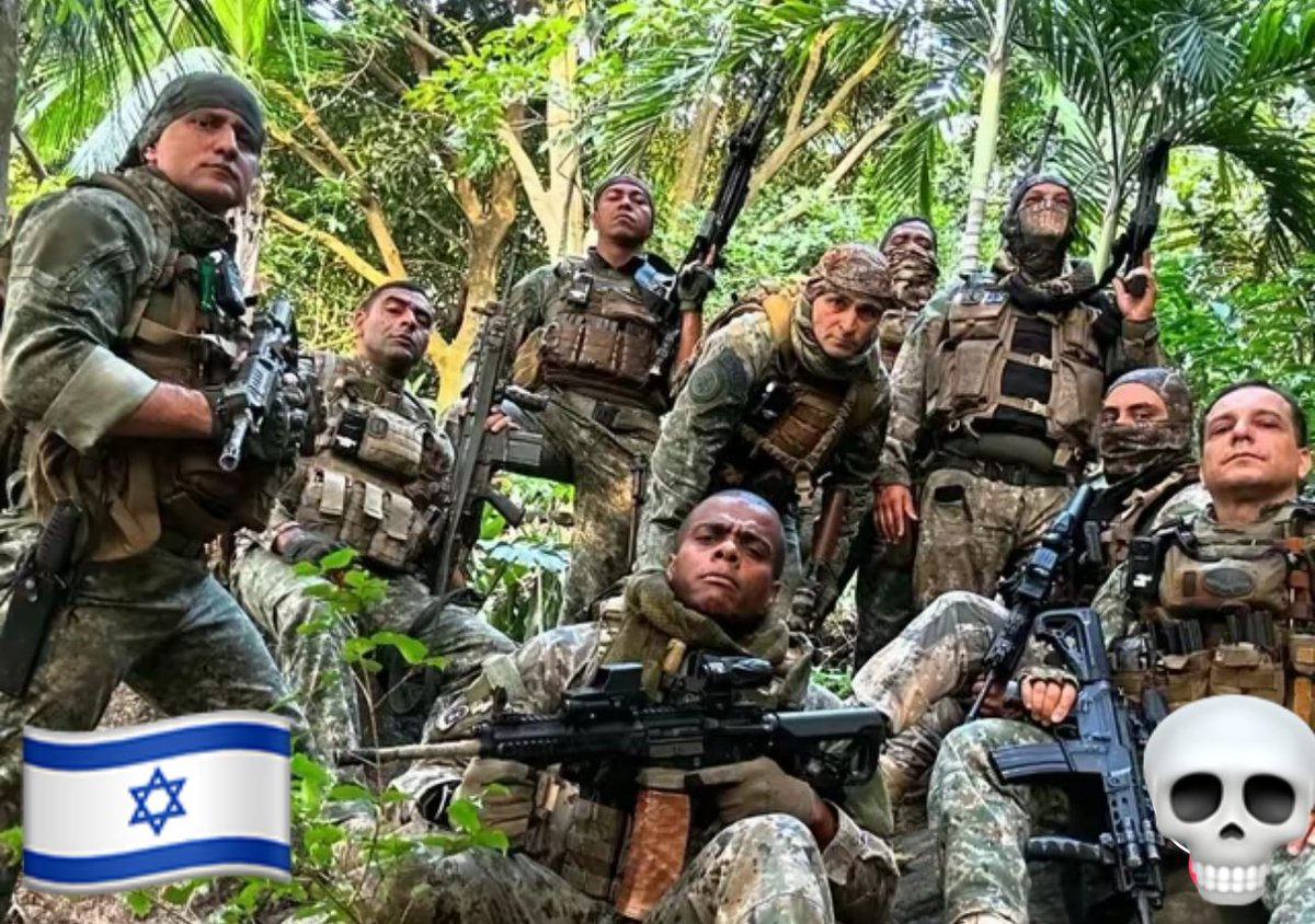 Funcionários do peixão, Devolveram o morro dos macacos na mão do TCP Equipe alfa.