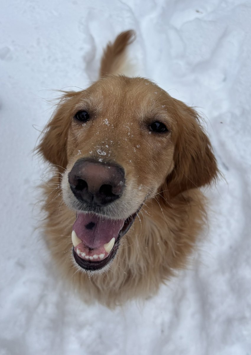 Adrienne Farrow tweet media