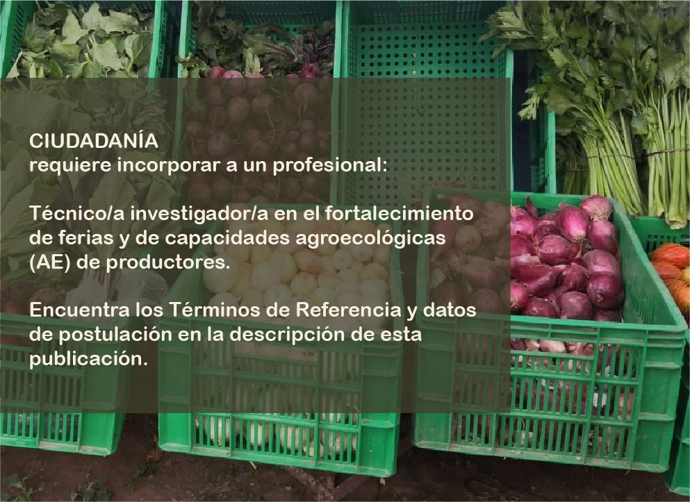 CIUDADANÍA requiere incorporar a un profesional:
Técnico/a investigador/a en el fortalecimiento de ferias y de capacidades agroecológicas (AE) de productores.
Accede a los Términos de Referencia y a datos para enviar la postulación siguiendo este enlace: ciudadaniabolivia.org/wp-content/upl…