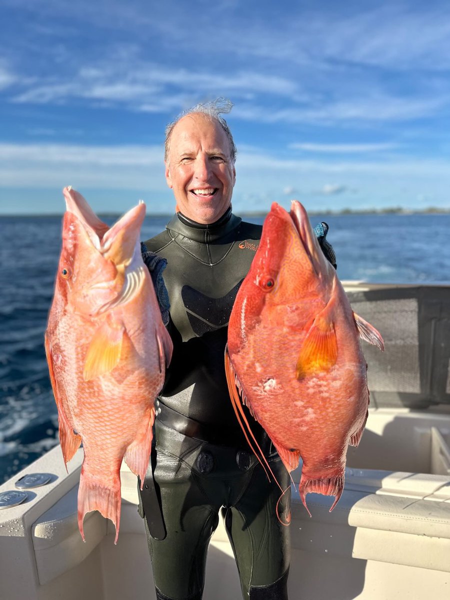 BahamasSportFishing tweet media