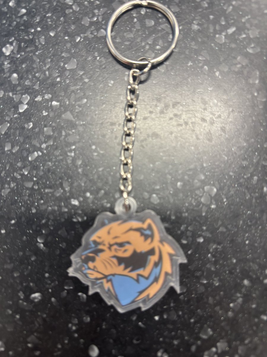 New accessories are now available in the <a href="/OPS_Westview/">Westview High</a> School Store!  License plate frames for $20, window decals for $5, and keychains for $3.