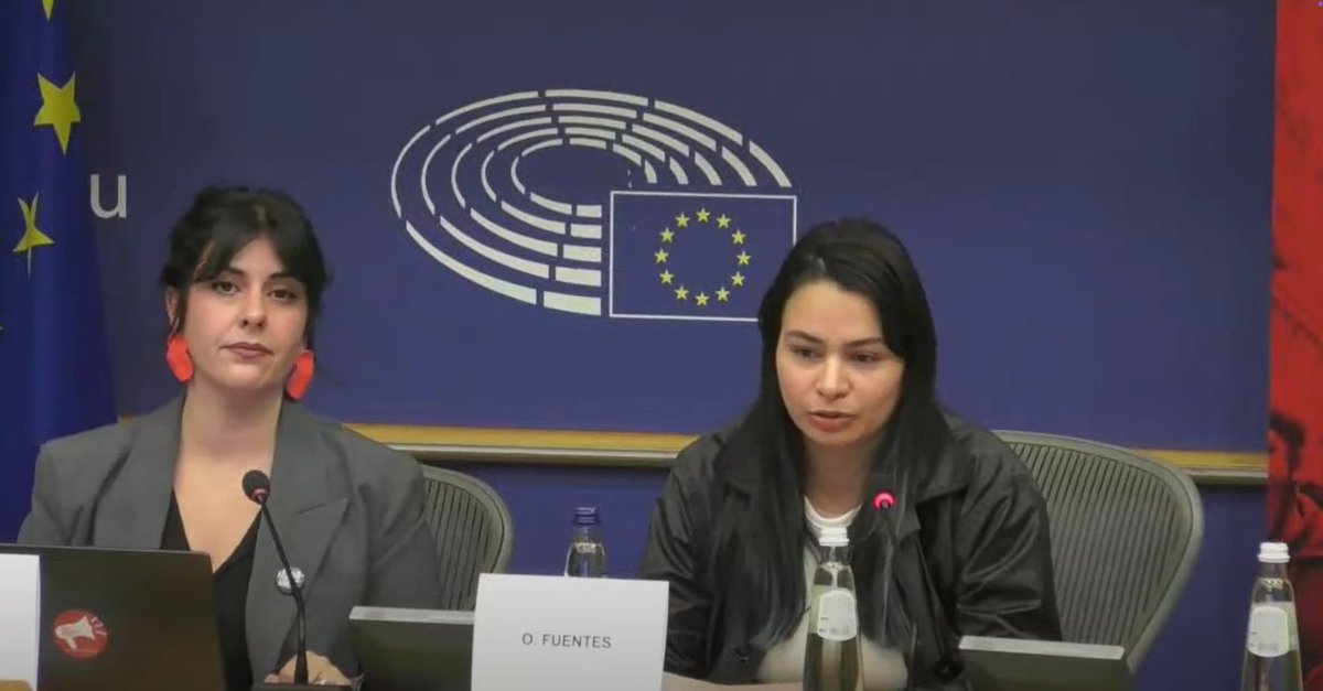 ArteEsEtica's tweet image. &quot;A pesar de que trabajamos para estas grandes empresas, somos la mano de obra barata y descartable para ellos&quot; - Oskarina Fuentes y @MilagrosMiceli en el Parlamento Europeo el pasado 21 de noviembre hablando sobre la extrema precariedad de los #dataworkers
x.com/nia_soler/stat…