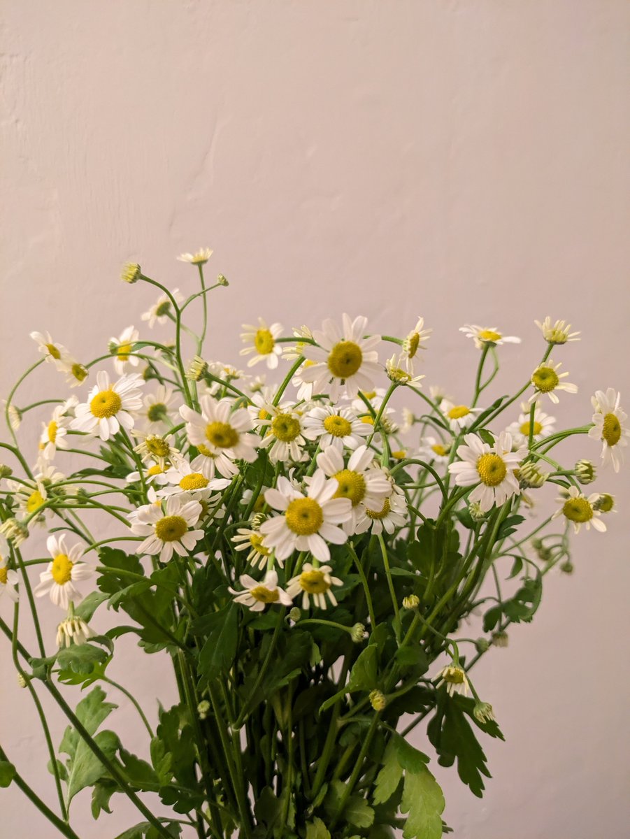 yukti vijaya tweet media