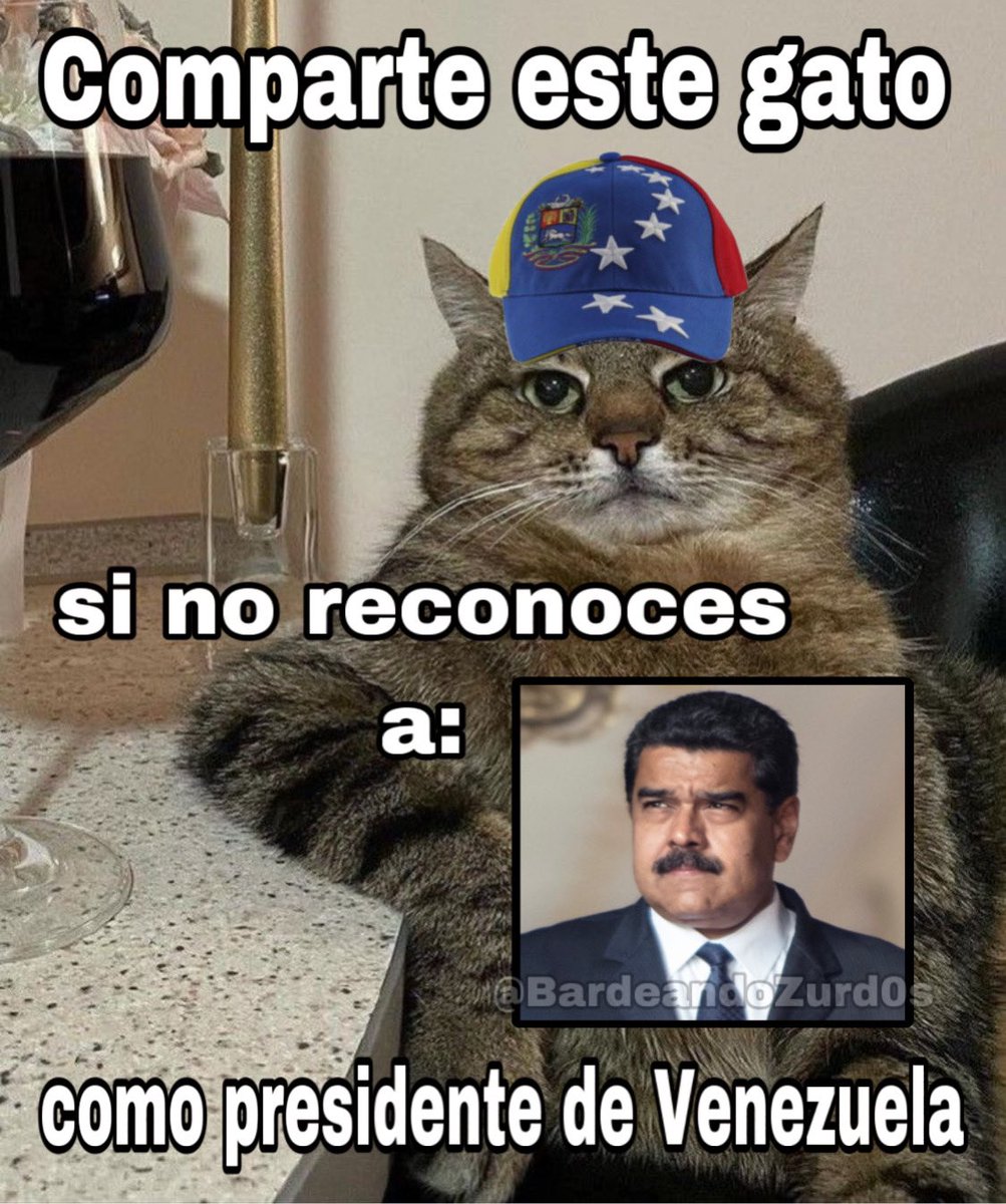 COMPARTE XD
