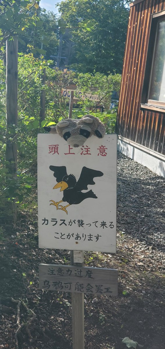HKStashPanda's tweet photo. Remember crows are your friend https://t.co/5q6AeHxHLT