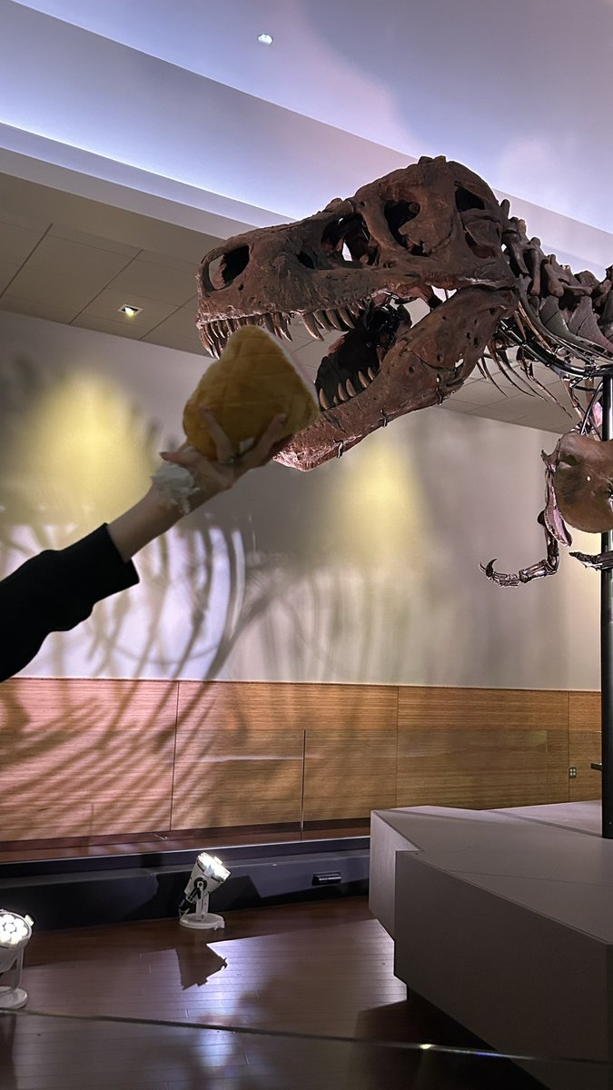 IDdiscovered's tweet photo. I BROUGHT HAM!!! @SUEtheTrex https://t.co/BvDeA2IF2b