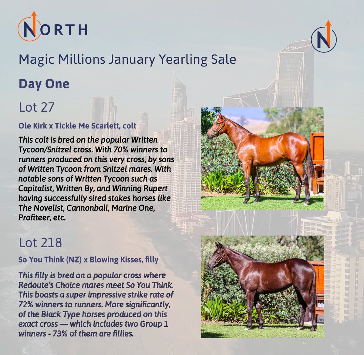 North Bloodstock (@northbloodstock) on Twitter photo Day One <a href="/mmsnippets/">Magic Millions</a> is upon us! Best of luck to all owners & vendors. We kick off selling today with two lovely yearlings, a colt by Ole Kirk and a filly by So You Think (NZ) 🧡✨ #MagicMillions2025 Day One <a href="/mmsnippets/">Magic Millions</a> is upon us! Best of luck to all owners & vendors. We kick off selling today with two lovely yearlings, a colt by Ole Kirk and a filly by So You Think (NZ) 🧡✨ #MagicMillions2025
