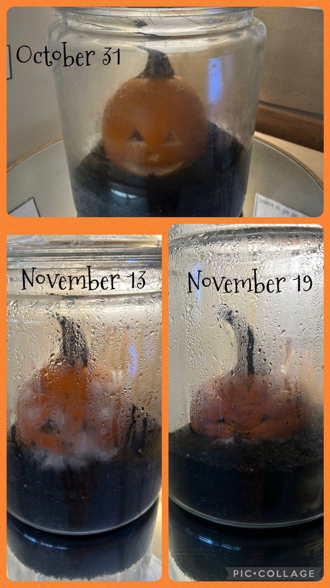 Mrs Lymburner tweet media