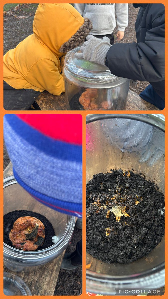 Mrs Lymburner tweet media