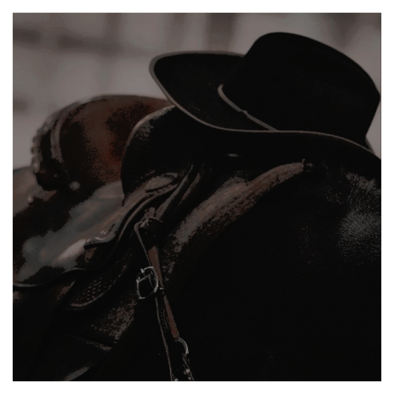 PLZYWTHFIRC's tweet photo. ㅤ

ㅤㅤㅤㅤ*ㅤ 𝓣𝐔𝐂𝐊𝐄𝐑 ㅤ𝓦𝐇𝐈𝐓𝐀𝐊𝐄𝐑   ﹔
ㅤㅤㅤㅤ⸻ㅤㅤ ㅤ𝒇𝒓.ㅤ  𝕿𝒆𝒙𝒂𝒔,  ㅤ𝑼𝑺𝑨.
ㅤㅤㅤㅤ𝙱𝚄𝙻𝙻    𝚁𝙸𝙳𝙴𝚁    𝙰𝙽𝙳    𝙲𝙾𝚆𝙱𝙾𝚈.
ㅤㅤㅤㅤ“ IT   IS   NO   BAD   THING   TO 
ㅤㅤㅤㅤCELEBRATE  A  SIMPLE  LIFE. ”
ᅠ
ᅠ https://t.co/nyxl6fdlyW