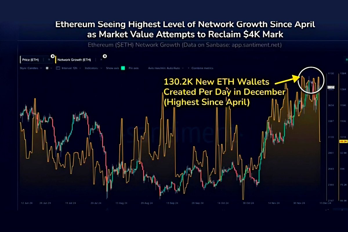 Ethereum is about to explode 🚀 130.2K new wallets created in December $ETH  is primed to hit its all-time high by Q1 2025. Historically, l Ethereum  leads the altcoin season. #Eth