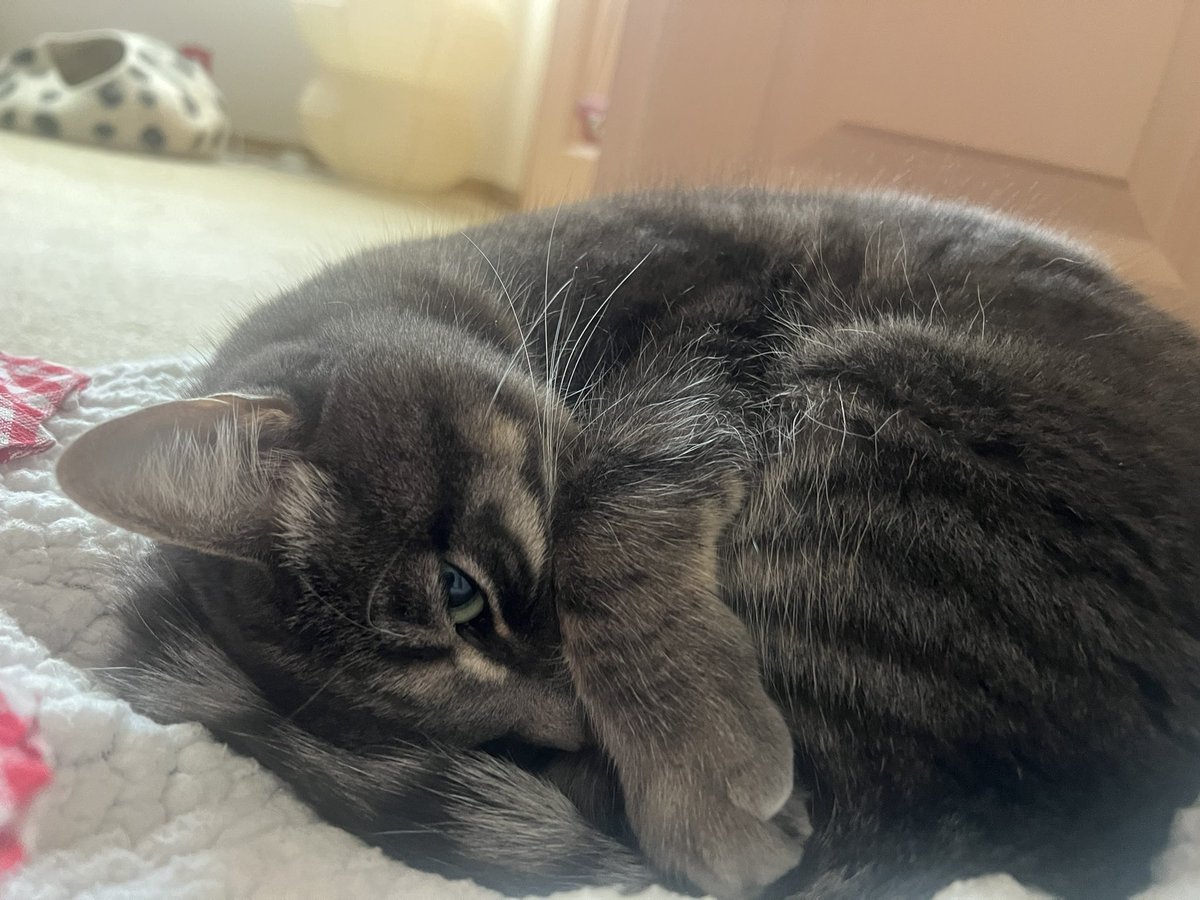 the truest bravest beautifulest miff