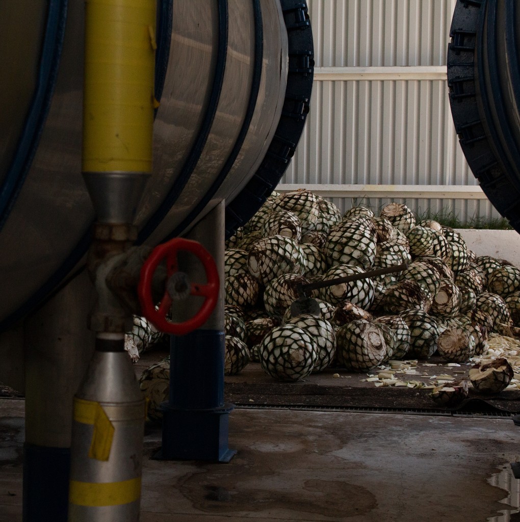 Sip Tequila tweet media