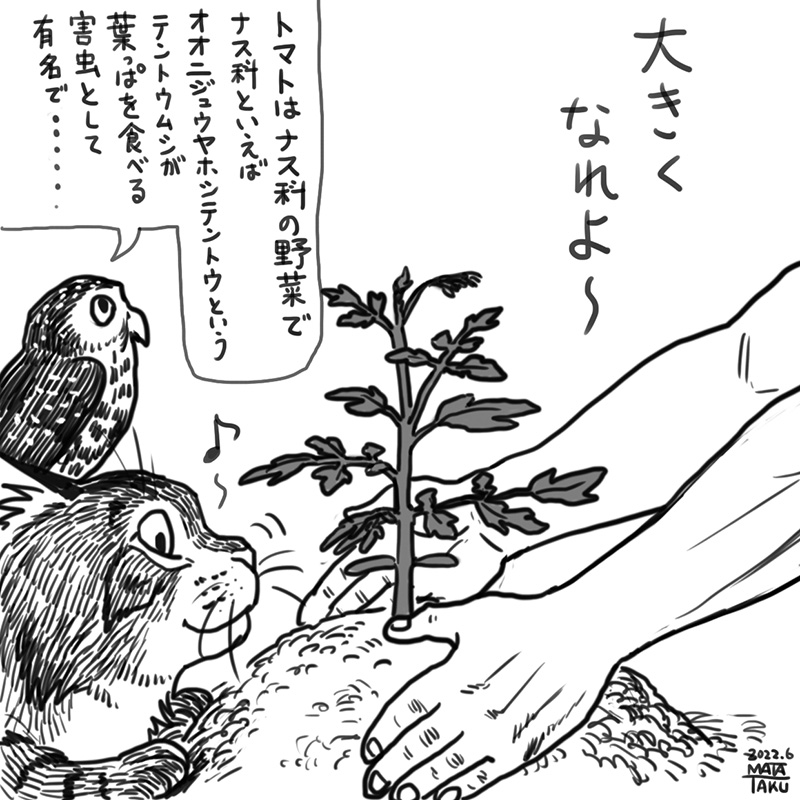 猫フク 家庭菜園 をpixivに投稿しました😄🐱🦉

https://t.co/WQgjKTox5h 