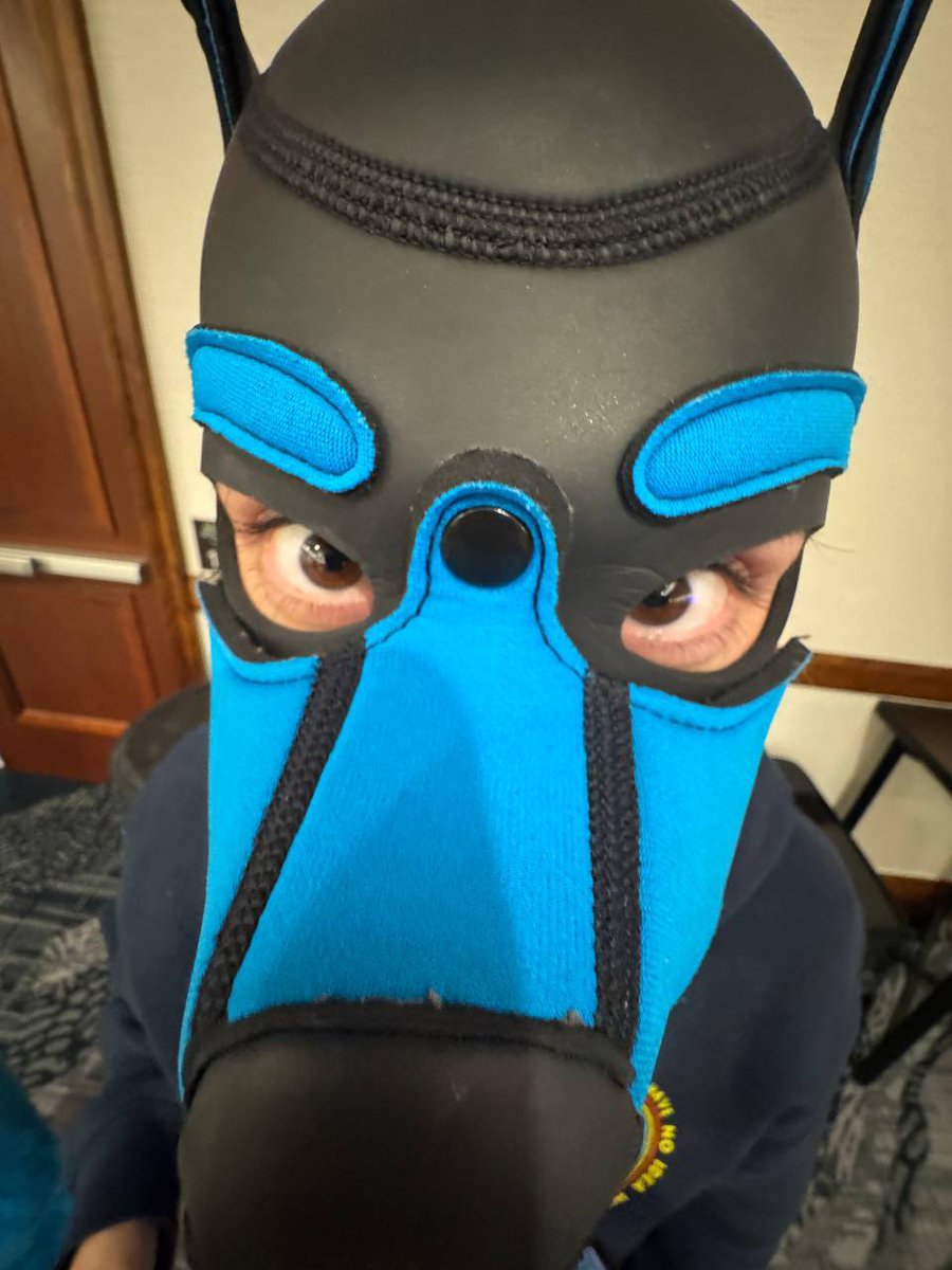 AlexTheAwful's tweet image. I know I didn’t have my suit, but the hood did good enough haha. #PDFC2025