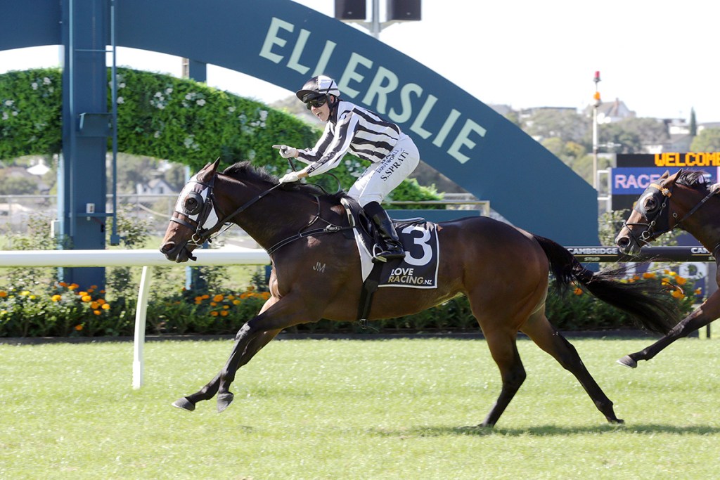 NEWS: After a lucrative Australian campaign multiple Gr.1 winner Belclare has returned to <a href="/lisalattaracing/">Lisa Latta Racing</a> to defend her Gr.1 NZ Thoroughbred Breeders Stakes crown at <a href="/Ellerslie_Races/">Auckland Thoroughbred Racing</a> in March. Read more here racingnews.co.nz/belclare-aimin…