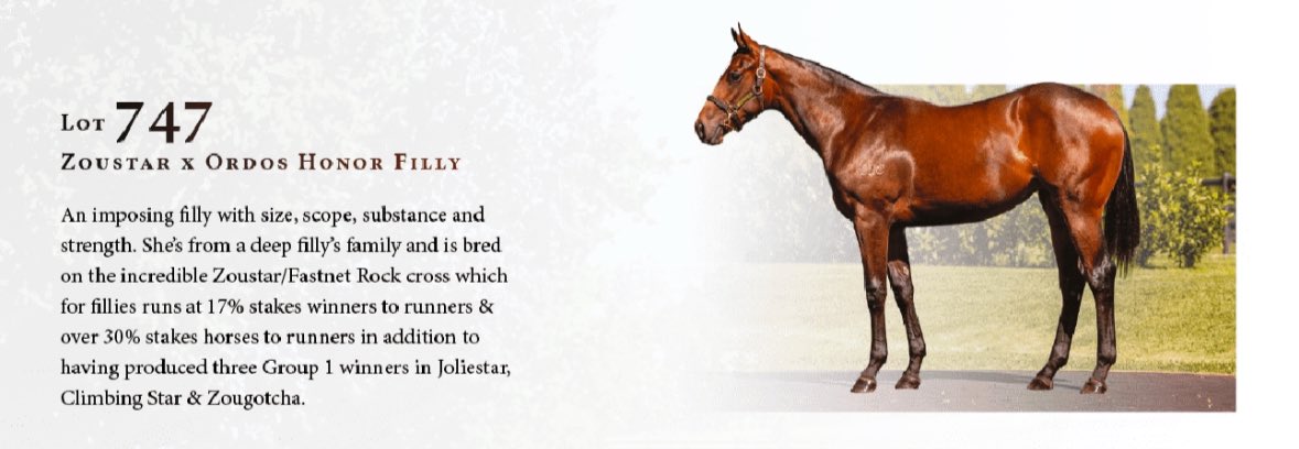 Chinahorseclub's tweet image. May the odds be forever in your favour ✌️🏹⬇️

#Zoustar #ChaseTheDream
@stallionmatch @mmsnippets