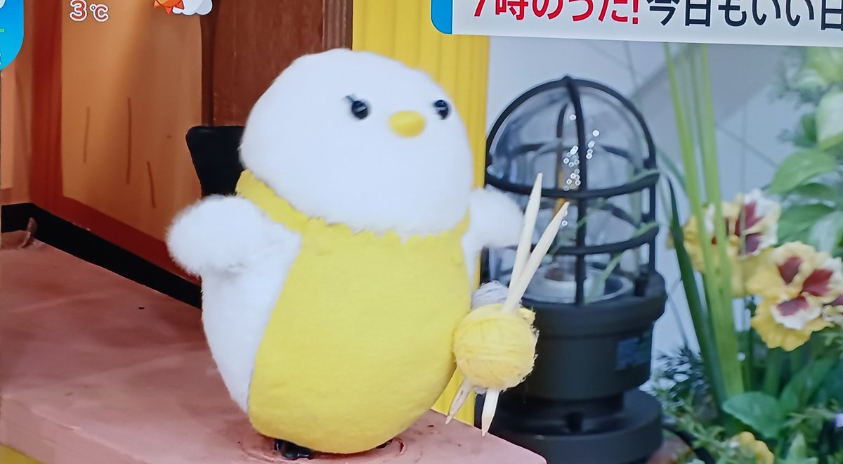 ゆりかご シマエナガちゃん ☆予告☆『シマエナガ®のぱん』発売 | VIE