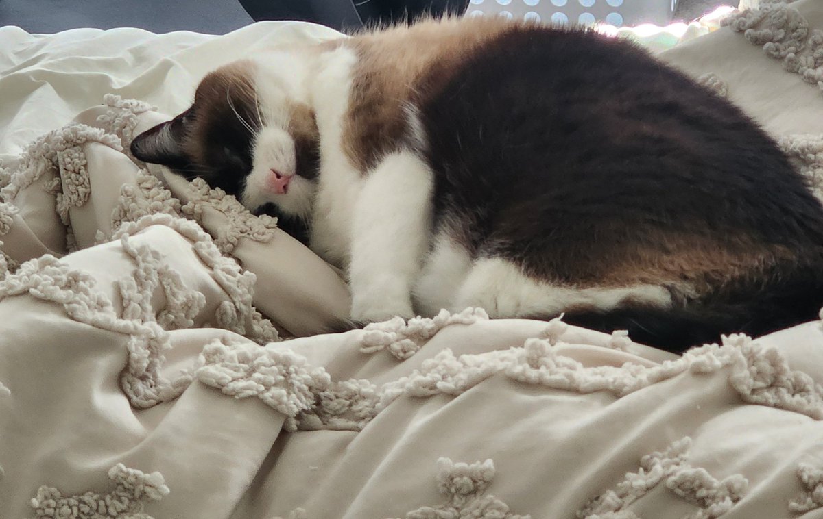 William Blake!?! tweet media