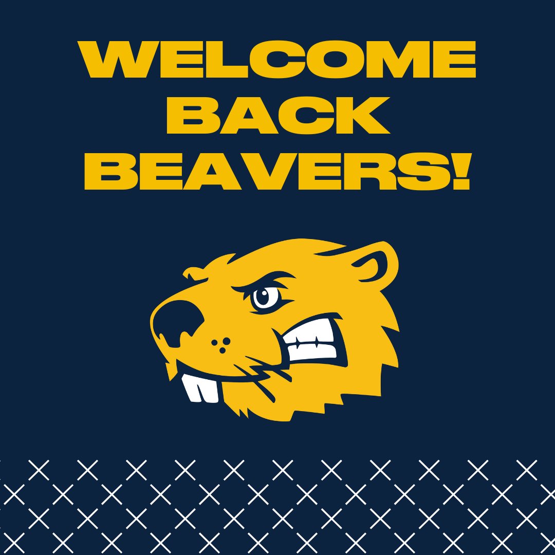 BVU Spirit Store (@bvu_spiritstore) on Twitter photo 