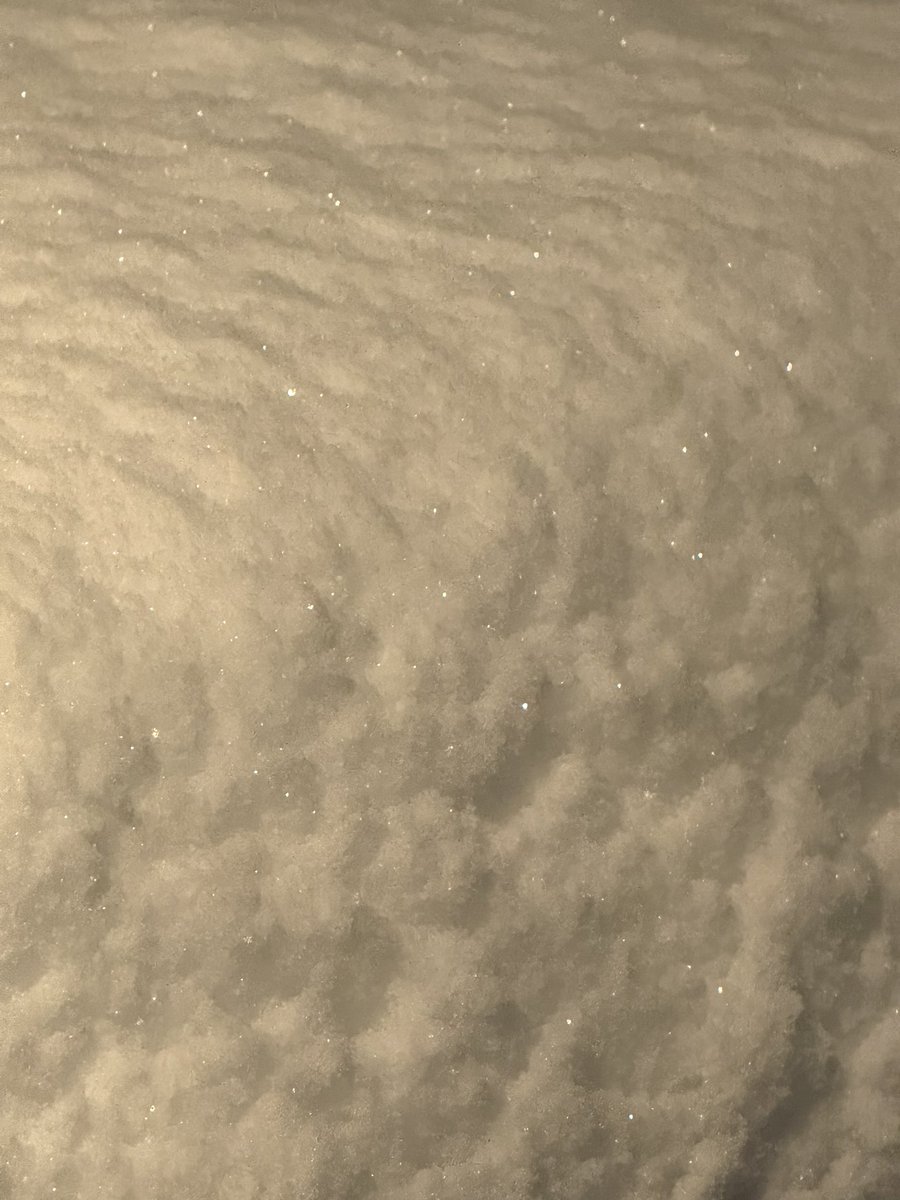 dcwineguy's tweet photo. @capitalweather the ‘new’ round of snow is light, fluffy, and naturally sparkles! no filters or enhancements on this shot here in Alexandria… https://t.co/bl3cltGxf7