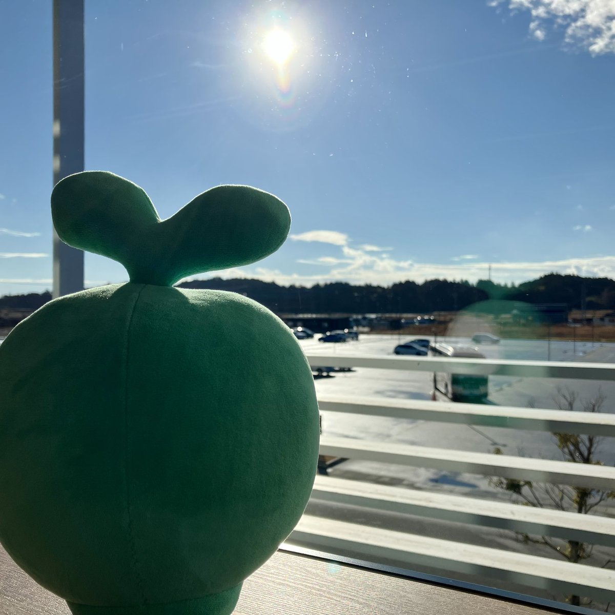 futabapoint's tweet photo. 🎍2025.1.7🎍

おはようございます！  
双葉町の天気は晴れ☀️

みなさま正月休みは楽しめましたか？？

本日みなさまのお越しをお待ちしております😊🌱

#企業公式が毎朝地元の天気を言い合う https://t.co/JwRYW4o1z2