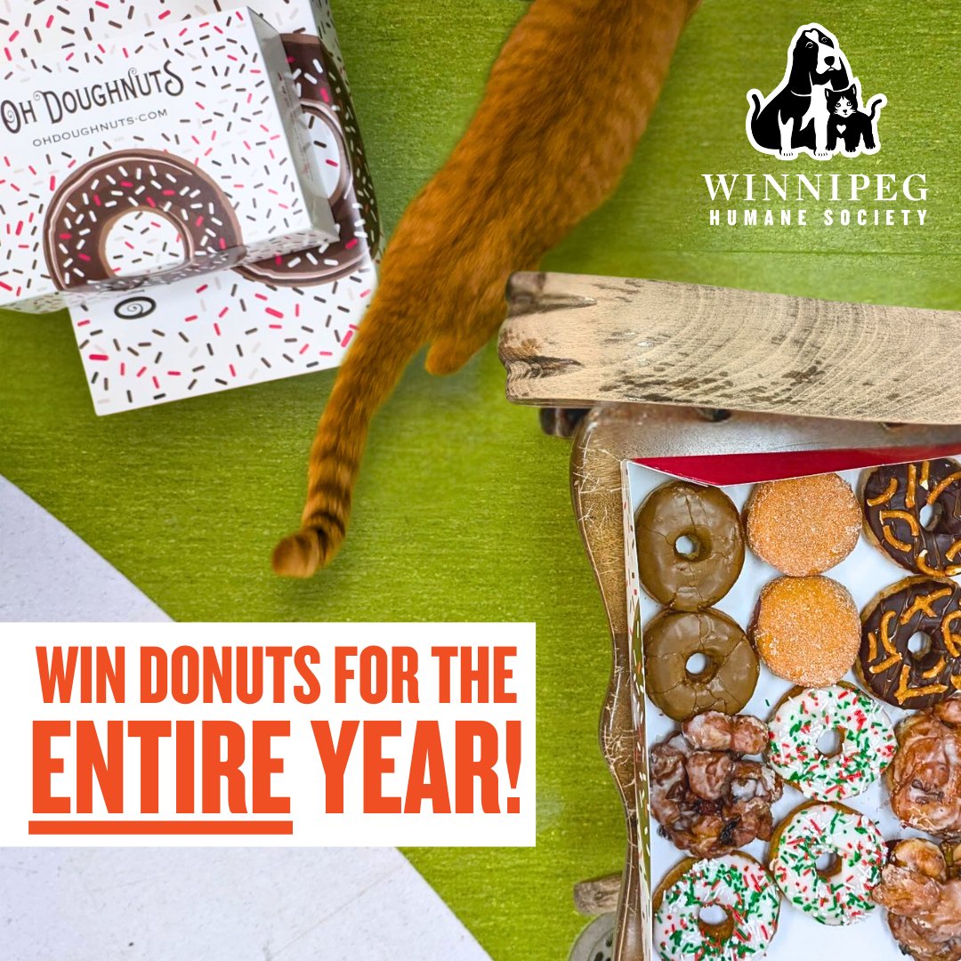 Snack on free Oh Doughnuts for a YEAR, while you help the animals in our care? It's a win any way you slice it.
🍩🐱🐶🐰

Sign up to be a monthly donor, and enter here: winnipeghumanesociety.akaraisin.com/ui/donate/dona…