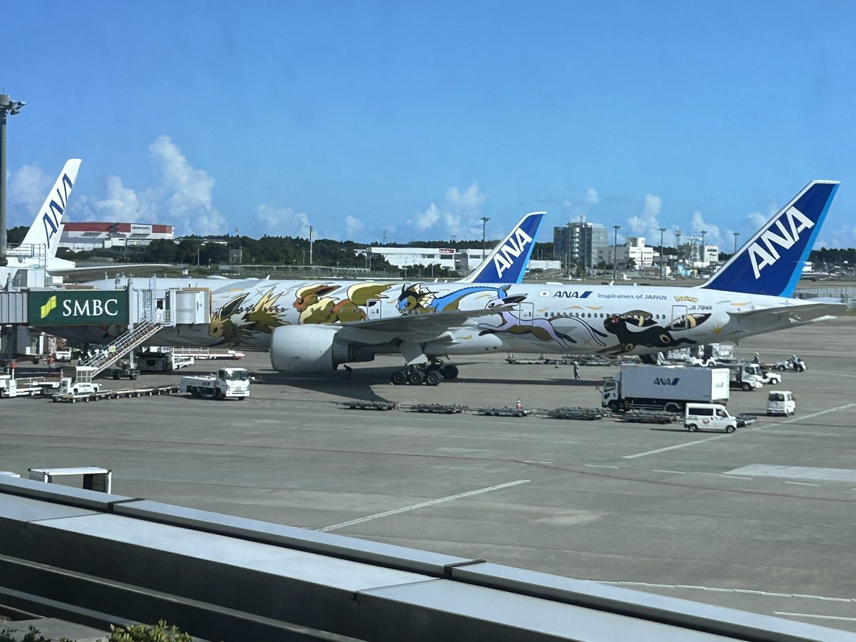meglunde's tweet photo. @flightradar24 Eevee Plane!!! https://t.co/hxvqLMmZ5X