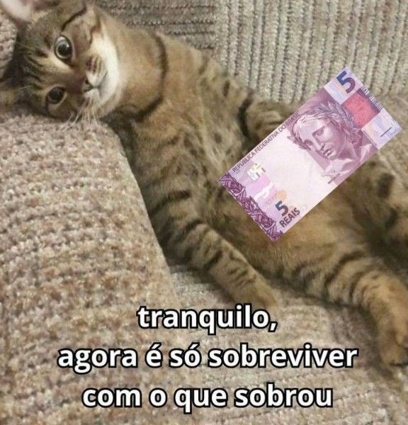 fatura paga