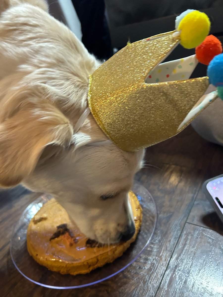 no labels, just cam tweet media