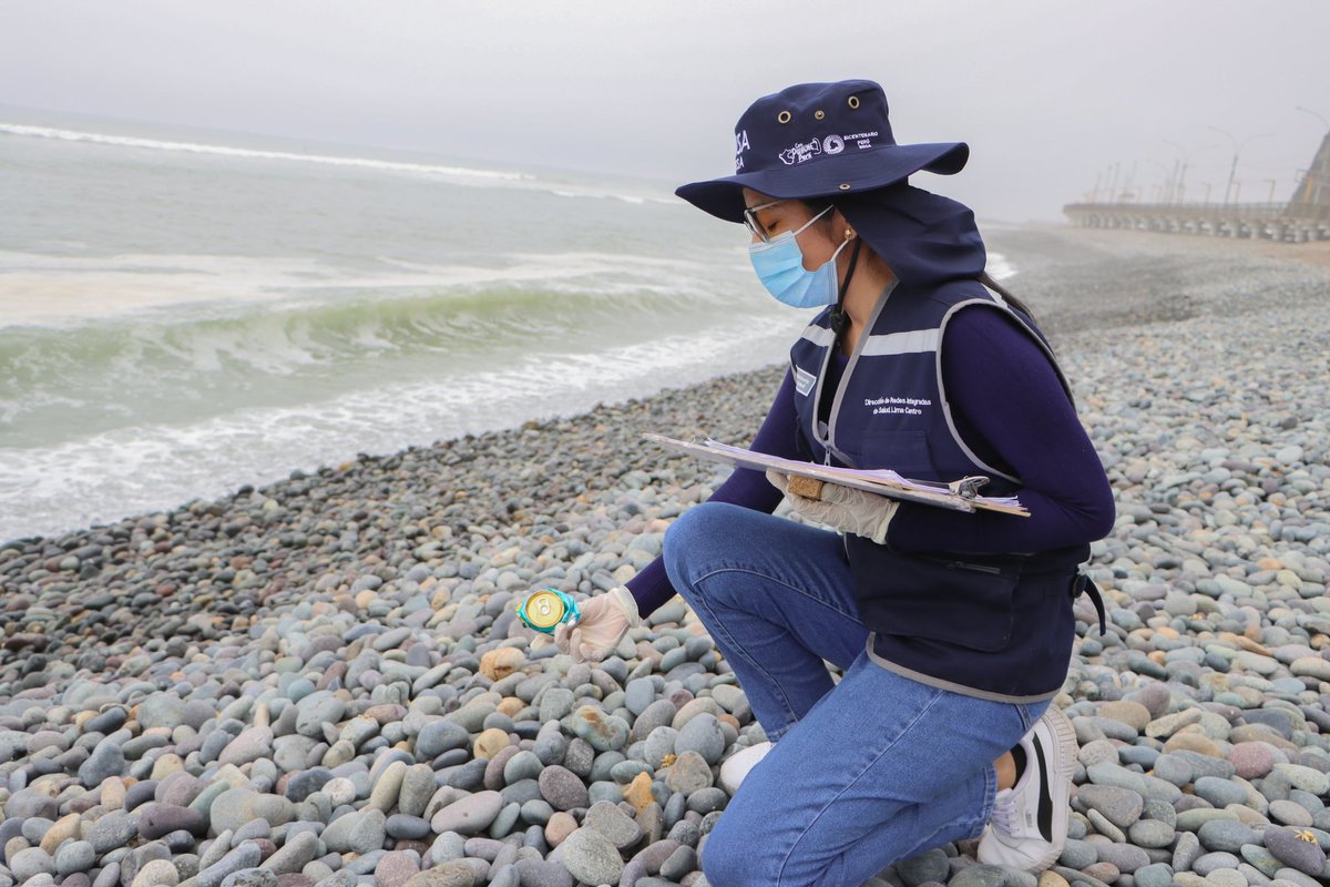 🌞La #DirisLimaCentro realizó vigilancia sanitaria en las 7 playas de Miraflores, para tomar muestras de agua de mar y verificar que se encuentren sin contaminación microbiológica o de residuos sólidos.🏖️

✅Además, se verificó que cada playa cuente con contenedores de residuos.
